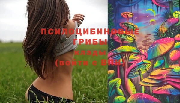 МДМА Лагань