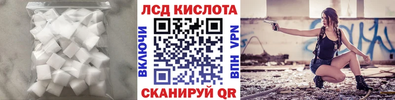 Купить закладки  Новозыбков  ЛСД экстази ecstasy 
