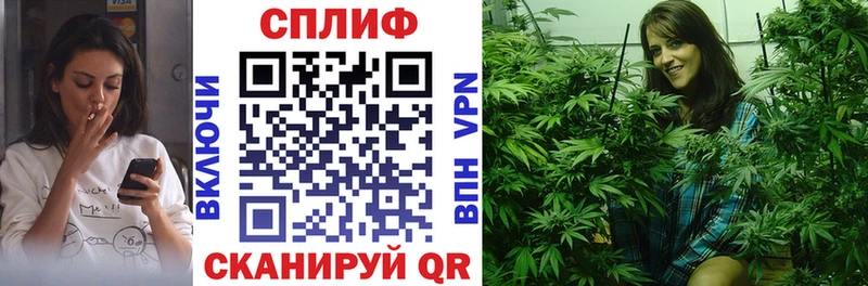 Купить  Новозыбков  Шишки марихуана MAZAR 